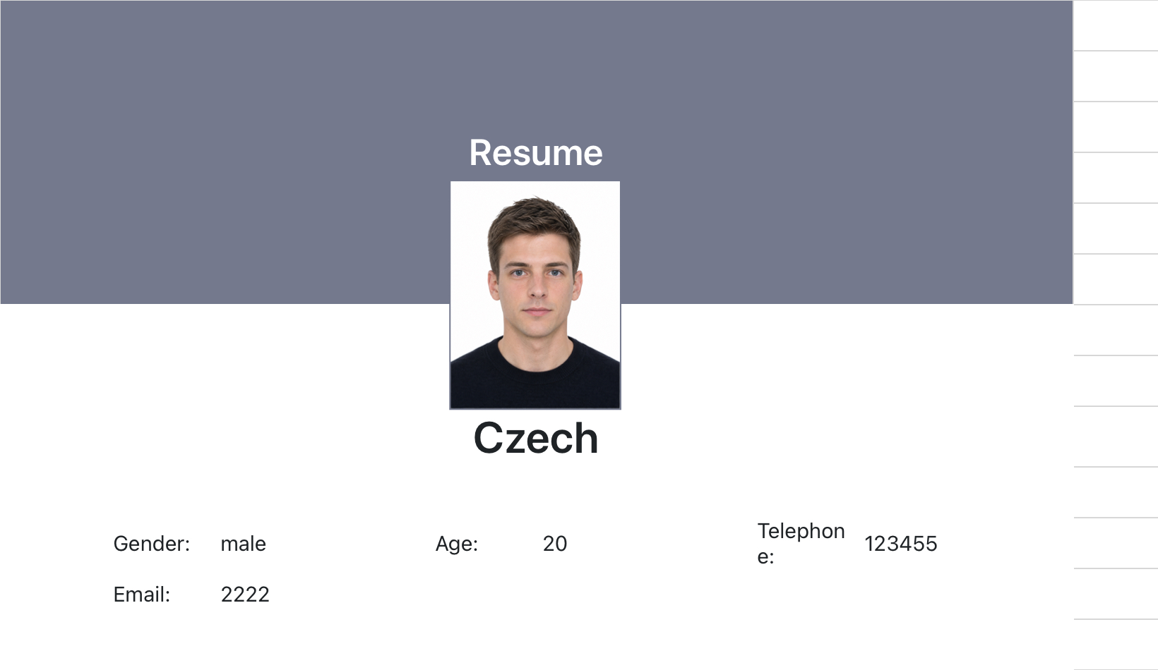Male Grey Resume